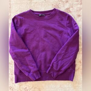 Purple Zara Crewneck Sweater